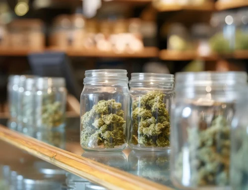 Exploring Trusted Local Shops and Online Options for Cannabis Accessories in Antioch, CA