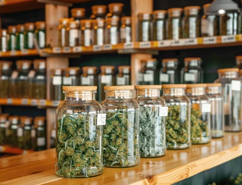 Top Reasons Adult Consumers Choose the Best Weed Stores and Dispensaries in Antioch, CA for Their Cannabis Needs