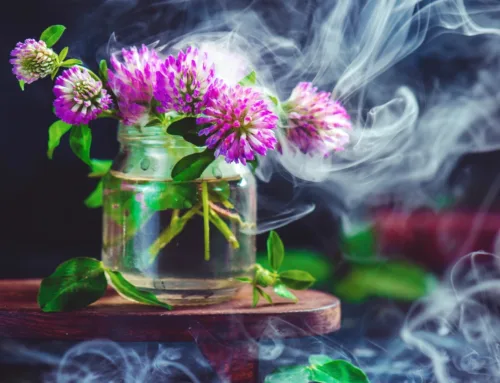 Cannabis Dispensary Near Me: Premium Flowers, Vapes, and Edibles at Flame Dispensary