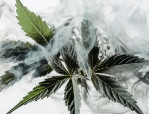 Explore Flame Dispensary’s Huge Cannabis Selection in CA: Indica, Sativa, Concentrates, and More
