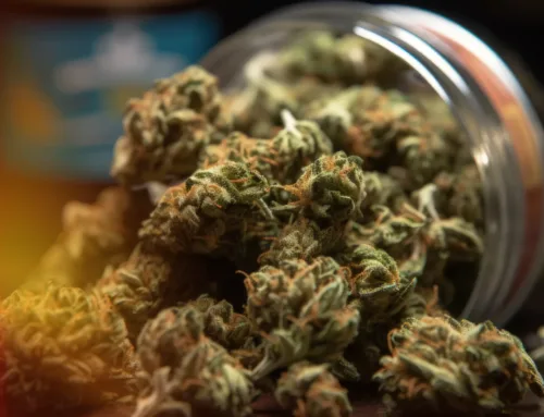 Cannabis Deals Update: First-Time Customer Promos to Catch This Fall