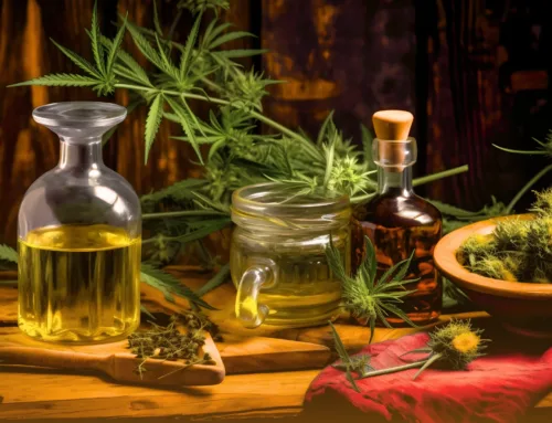 Edibles That Match the Season: Autumn Flavors & Pairings to Try