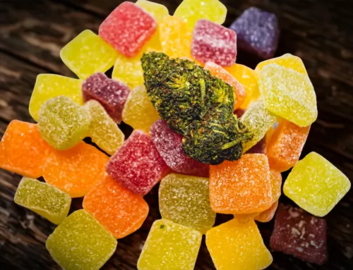 Edibles and Tinctures for Back-to-School Stress Relief
