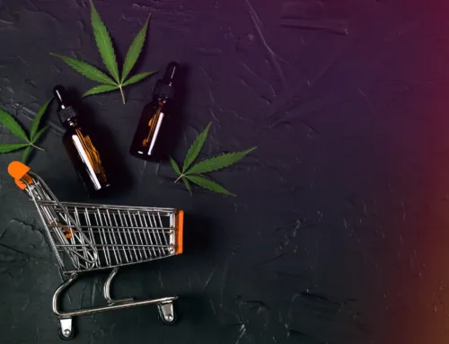 Planning Ahead: How to Schedule Cannabis Deliveries for the Holidays