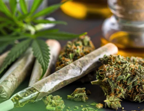 Thanksgiving & Cannabis Pairings: Dosage Timing, Digestive Relief & Safe Use