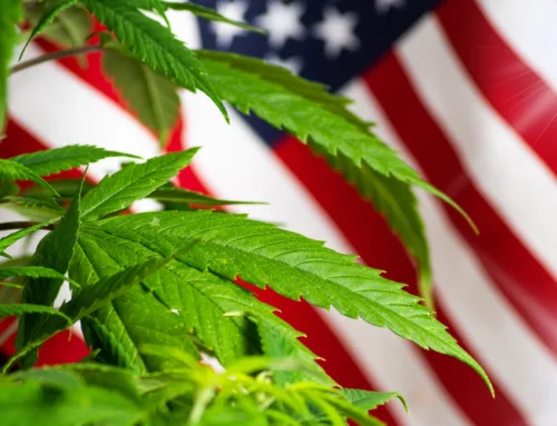 Veterans Day & Cannabis: Legal Benefits & Considerations for Vets in CA/Local Jurisdictions