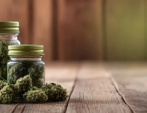 Discussing Whether Modern Cannabis Products Can Truly Reach 60 Percent THC and What It Means for Users