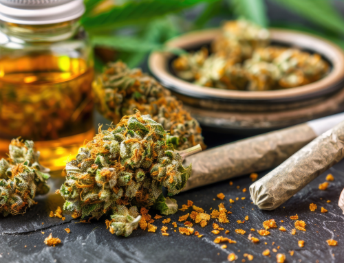 Why Santa Rosa Dispensaries Offer a Diverse Selection of High Quality Cannabis Products