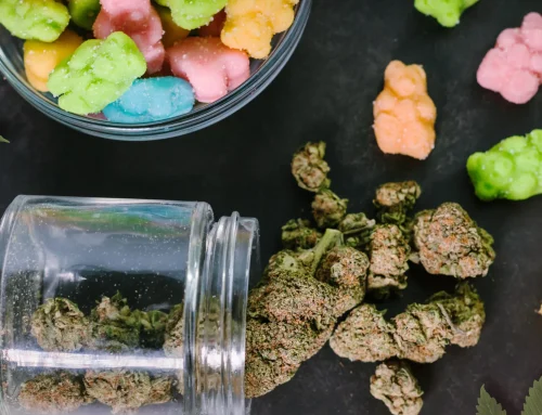 Discover Where to Get Premium Cannabis Edibles Delivered in Santa Rosa, CA With Convenience