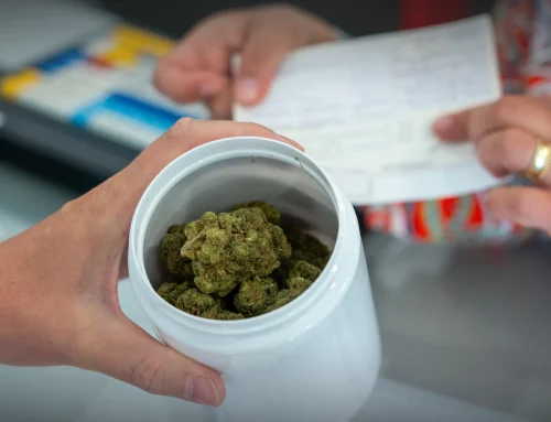 Everything You Need to Know About Accepted Identification at Santa Rosa Cannabis Dispensaries