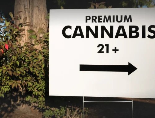 Recreational Dispensary Age Rules in Santa Rosa Explained for Cannabis Shoppers