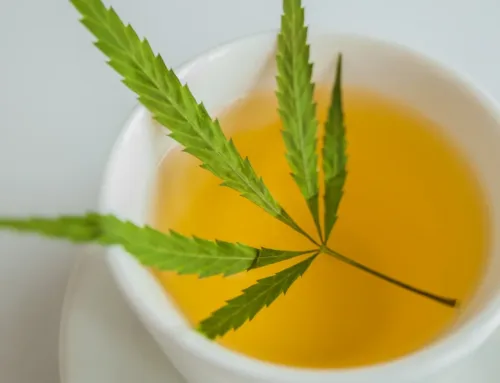 The Ultimate Guide to Brewing Cannabis Tea – Recipes, Benefits, and Pro Tips