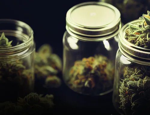 Cannabis Near Me: Exploring the Best Weed Dispensary and Concentrate Deals in California