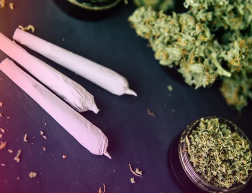 Pre Rolls 101: What Beginners Should Know Before Buying