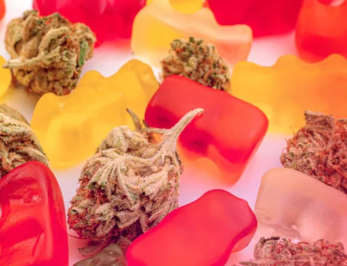 Hydration & Edibles: Staying Safe While Enjoying Cannabis in the Heat